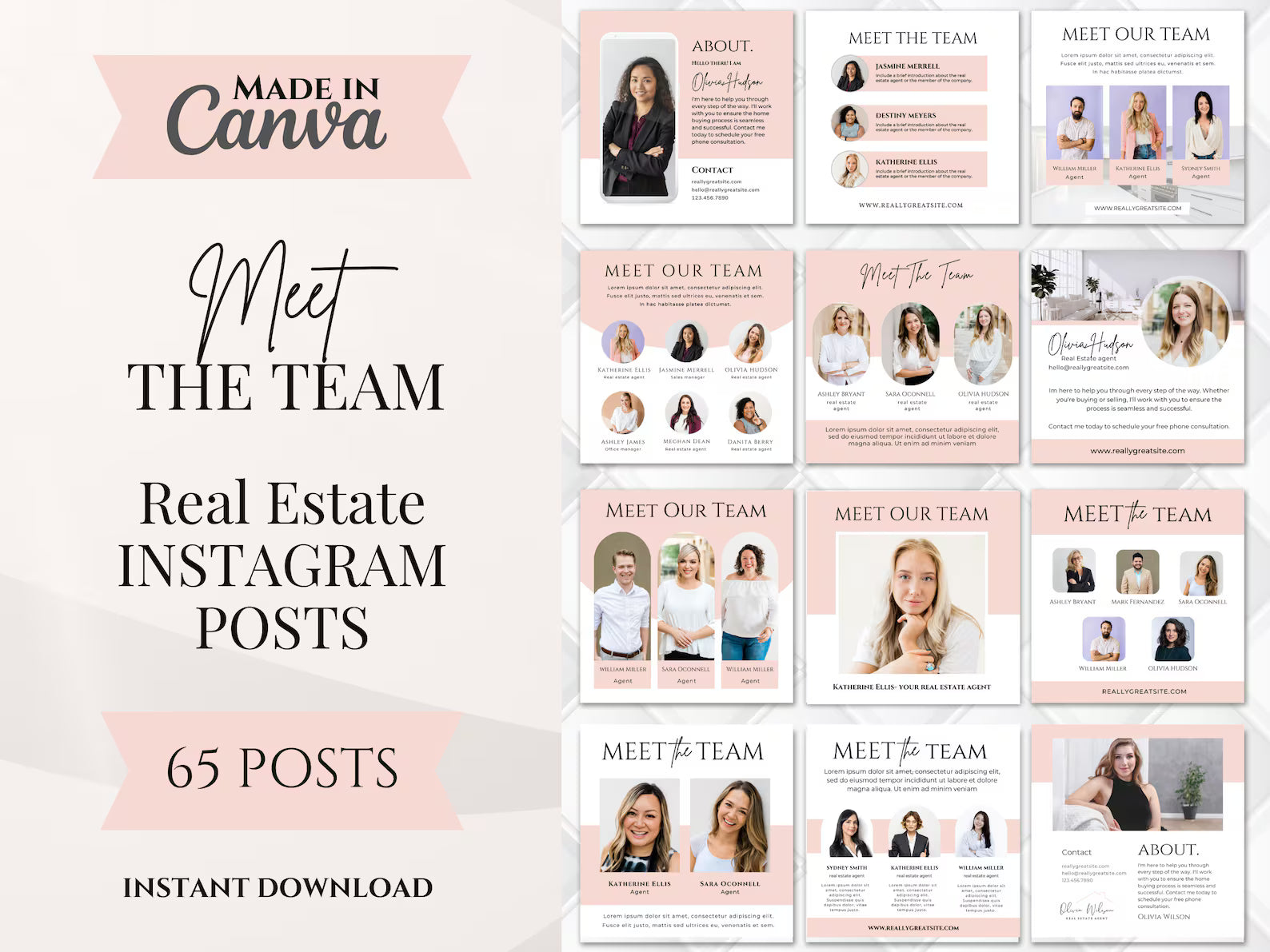 Set of 65 Pink Real Estate Meet the Team Social Media Posts Templates
