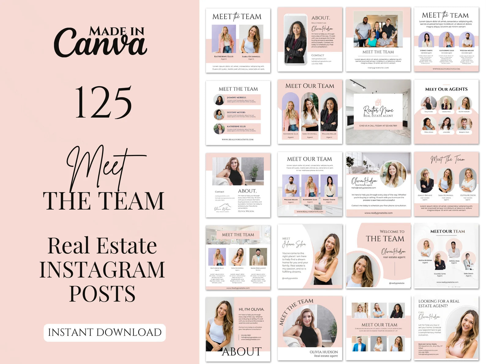 Set of 125 Pink Meet the team Social Media Posts Templates